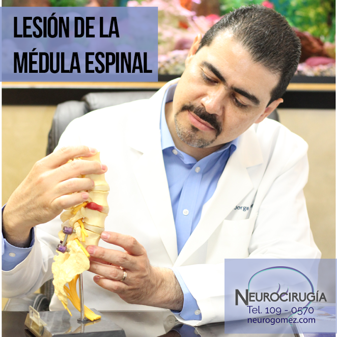 Lesión de la médula espinal